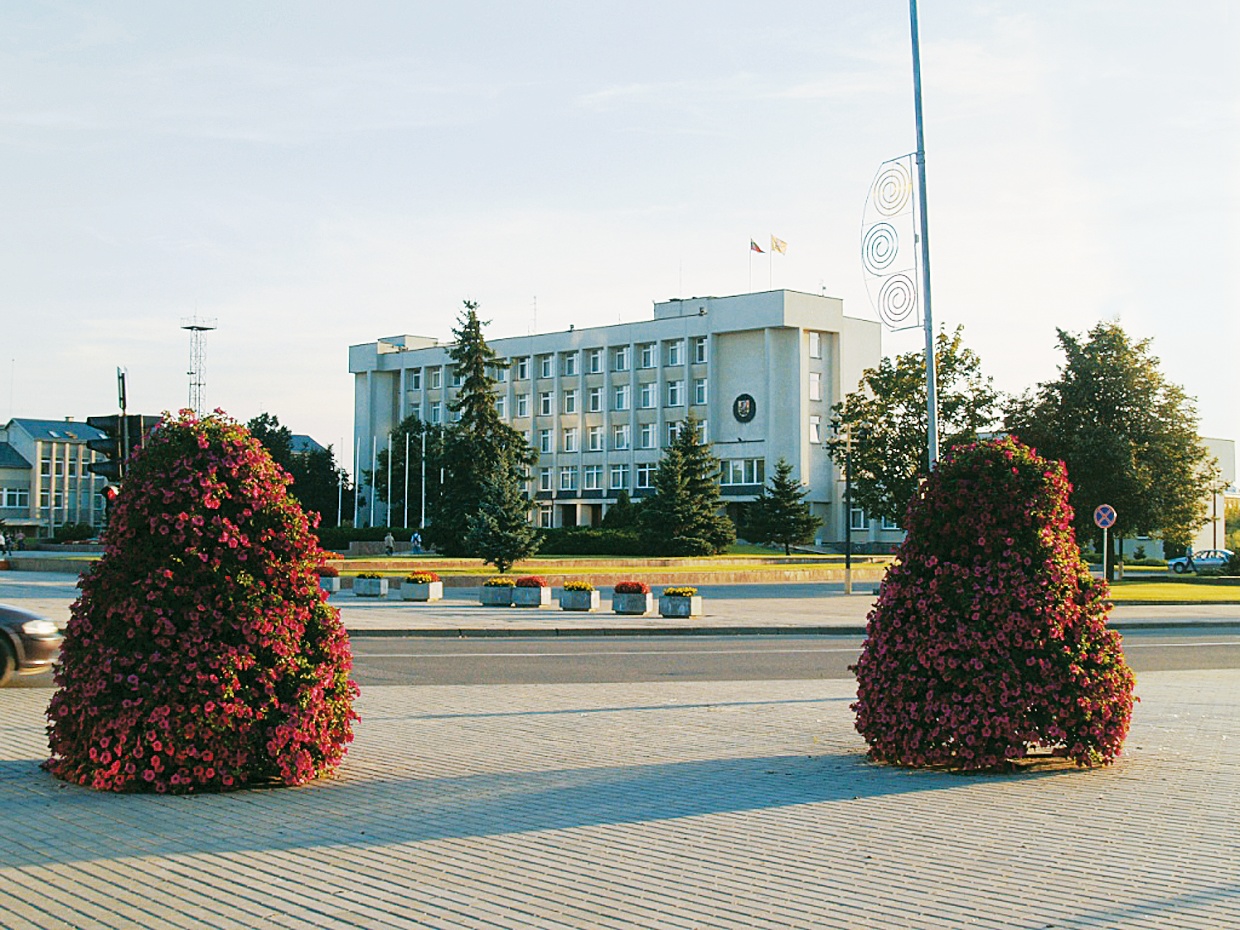 Martijampolė