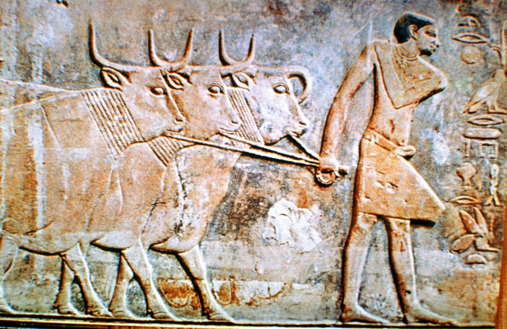 senovės egipto prekybos sistema