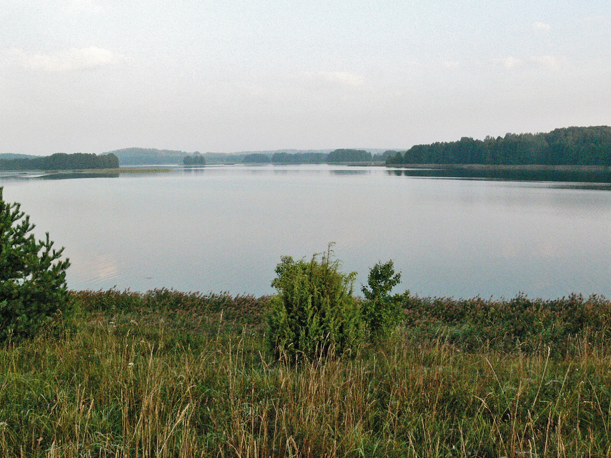 Veisiejis - Visuotinė lietuvių enciklopedija