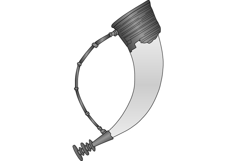 ragas - Visuotinė lietuvių enciklopedija