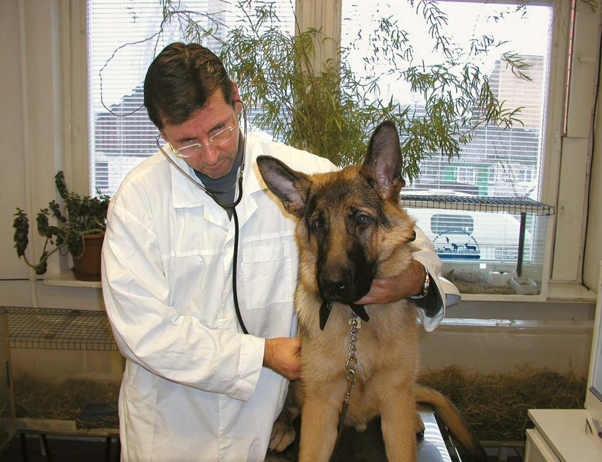 veterinarija - Visuotinė lietuvių enciklopedija
