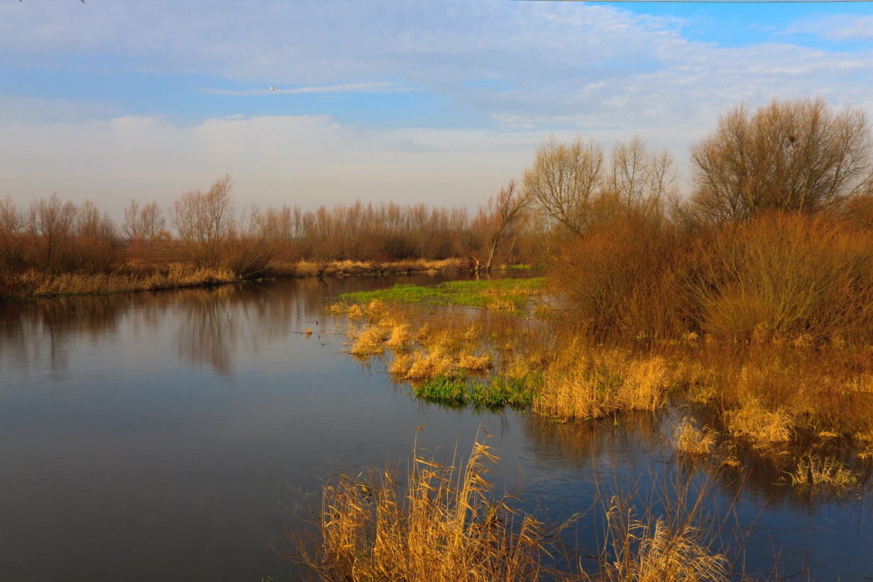 Wieprz Visuotinė lietuvių enciklopedija
