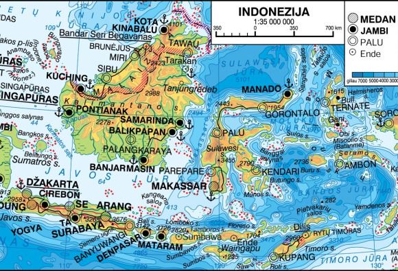 svetainės dvejetainė parinktis indonezija