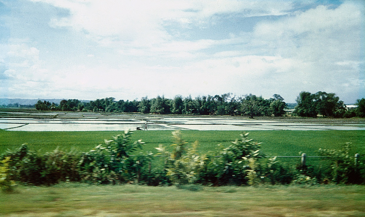 akcijų pasirinkimo filmų garso takelis