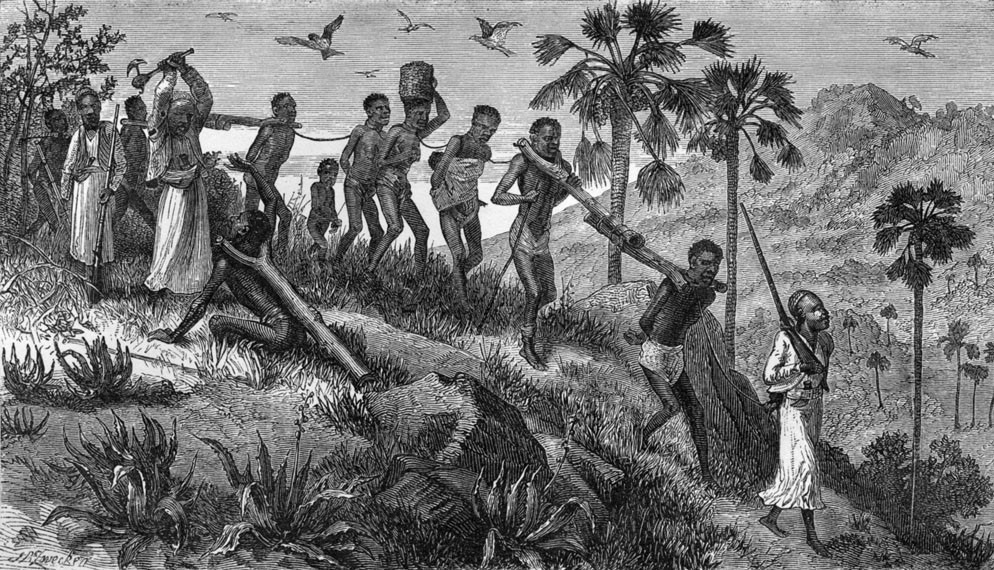 vergų prekybos ir plantacijų sistema)