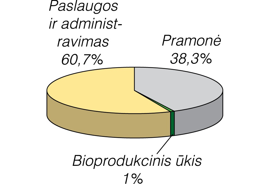 Iš ES lyderių stumiama Airija sprendžia ekonomikos recesijos dilemas | eitminunamai.lt