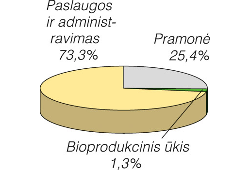viskas ką reikia žinoti apie akcijų pasirinkimo sandorius
