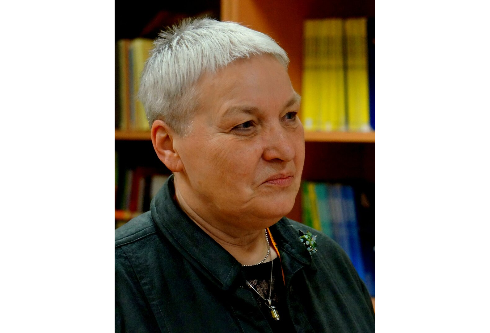 Irena Aleksaitė - Visuotinė lietuvių enciklopedija