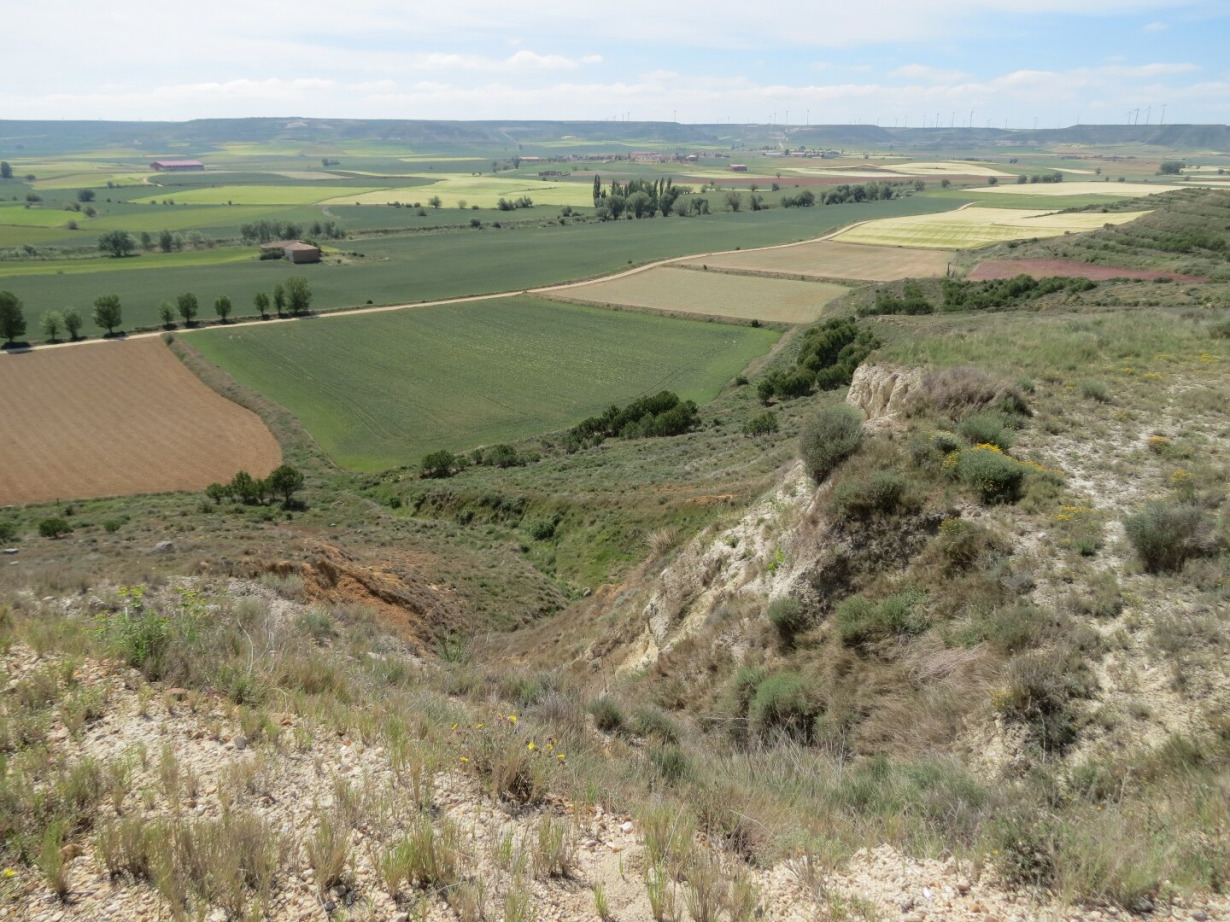 Meseta - Visuotinė lietuvių enciklopedija