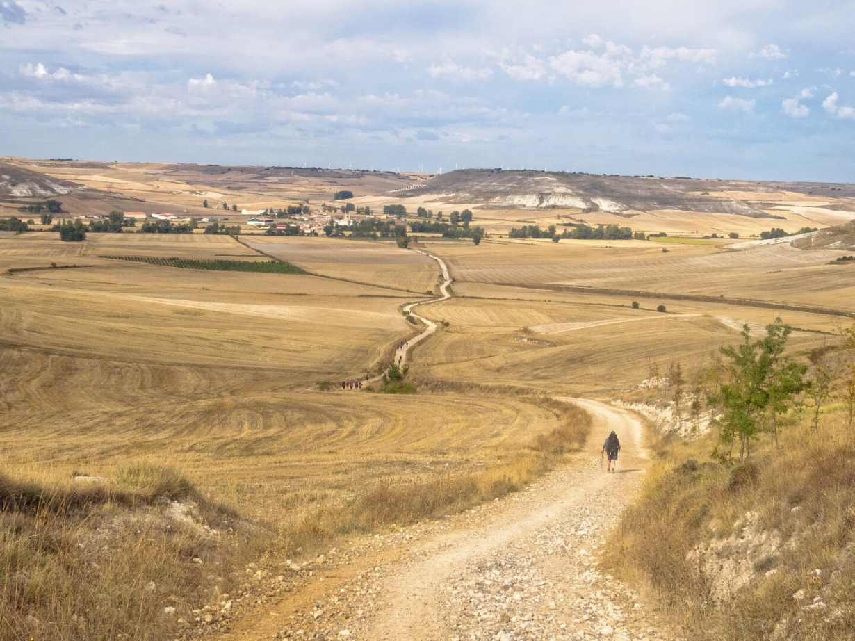 Meseta - Visuotinė lietuvių enciklopedija