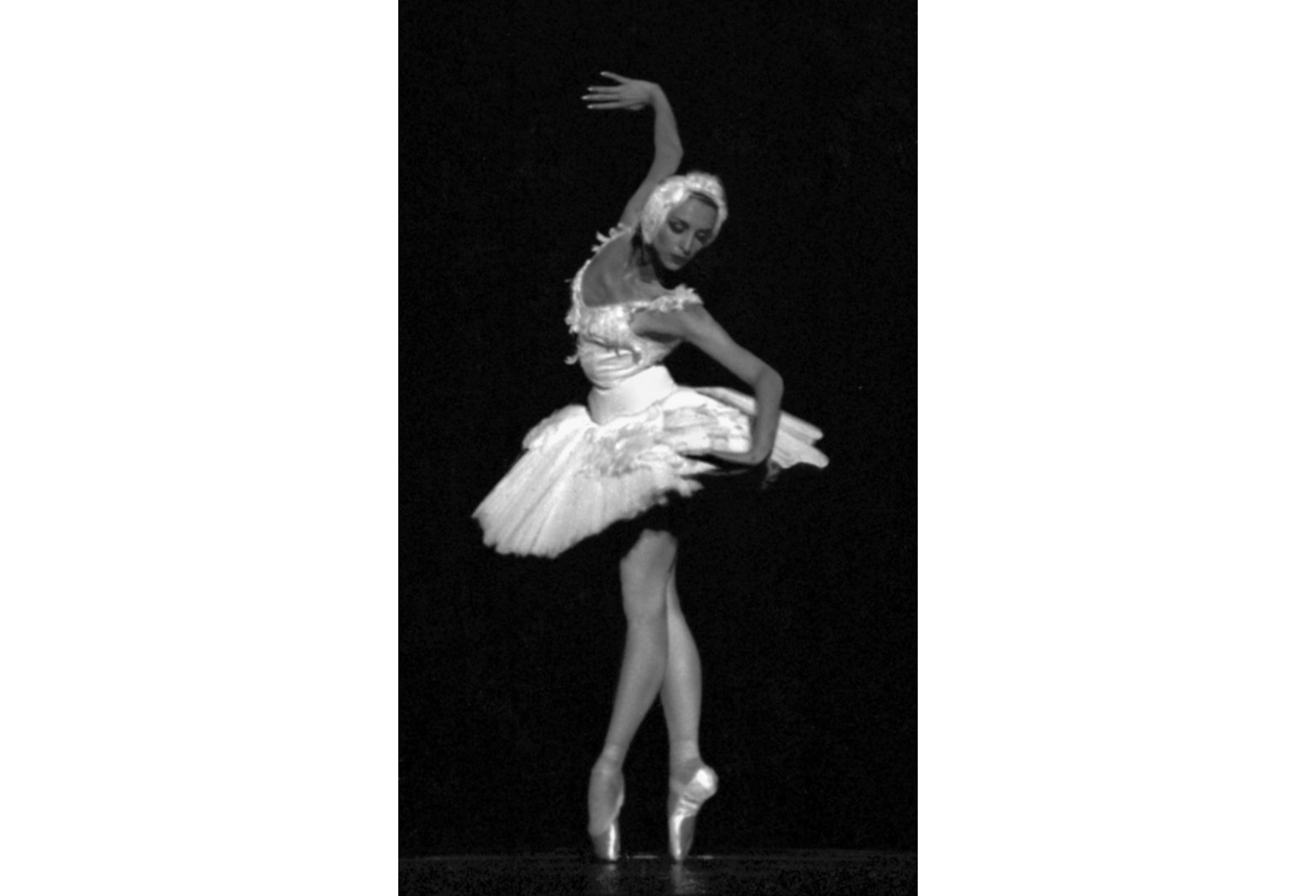 Ilze Liepa Visuotinė lietuvių enciklopedija