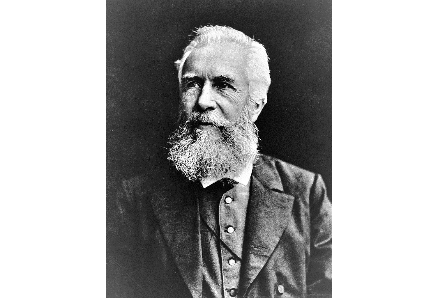 Термин экология в 1866 году предложил. Немецкий биолог эрнст геккель термин экология. Кем был предложен термин экология. Эрнст геккель – ввел термин «экология. Геккель ввел термин экология.