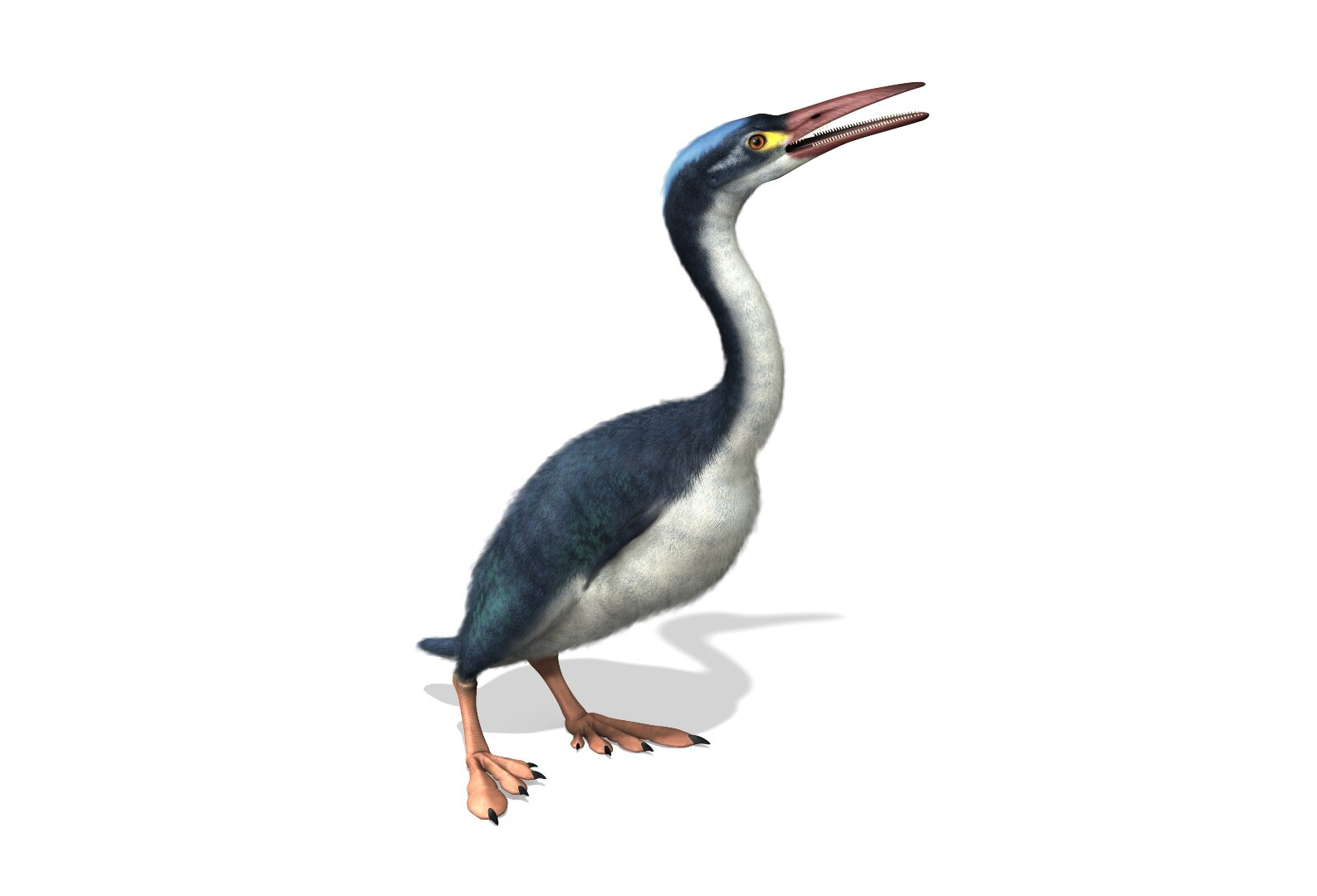 hesperornis Visuotinė lietuvių enciklopedija