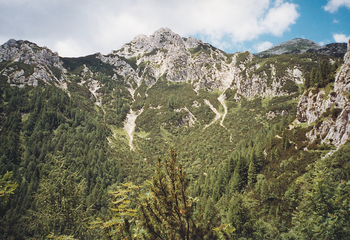 Julijos Alpės Visuotinė lietuvių enciklopedija