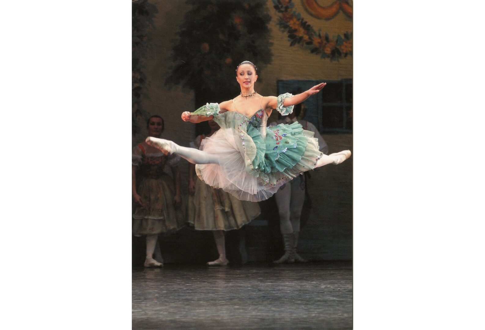 Kristina Kanišauskaitė Visuotinė lietuvių enciklopedija