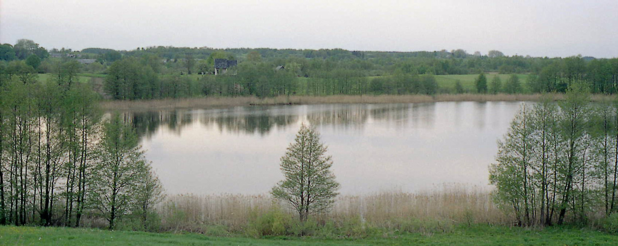 Galuonis - Visuotinė lietuvių enciklopedija