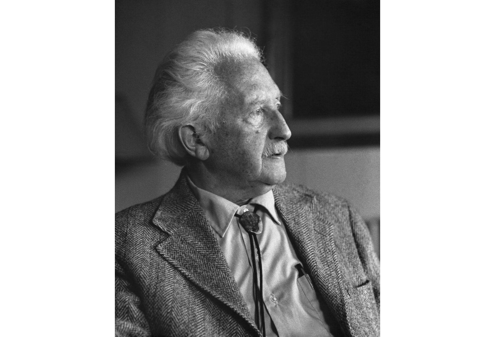 Erik Erikson Visuotinė lietuvių enciklopedija