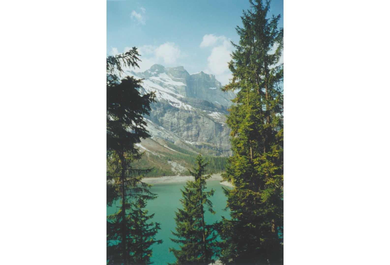 Bernas Visuotinė lietuvių enciklopedija