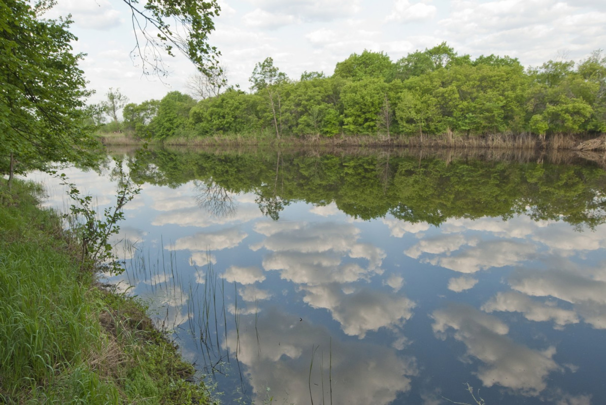 Bitiug Visuotinė lietuvių enciklopedija