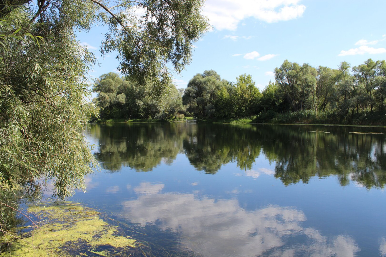 Oskol Visuotinė lietuvių enciklopedija