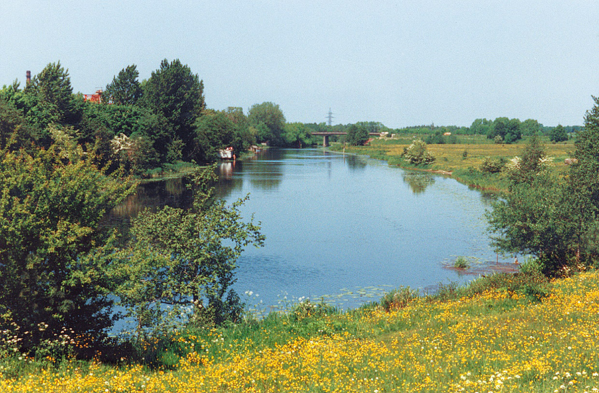 Danė Visuotinė lietuvių enciklopedija