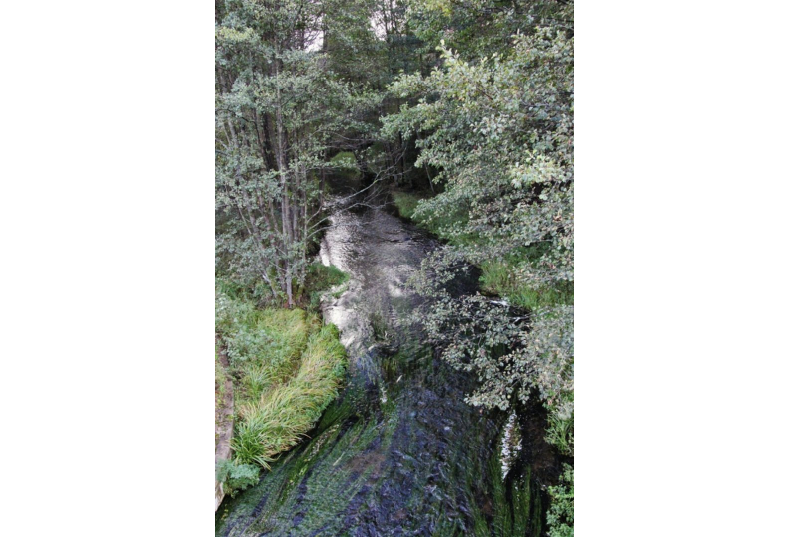 Spengla Visuotinė lietuvių enciklopedija